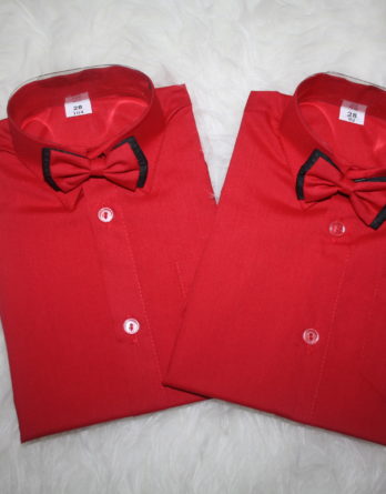 Punane triiksärk lipsuga